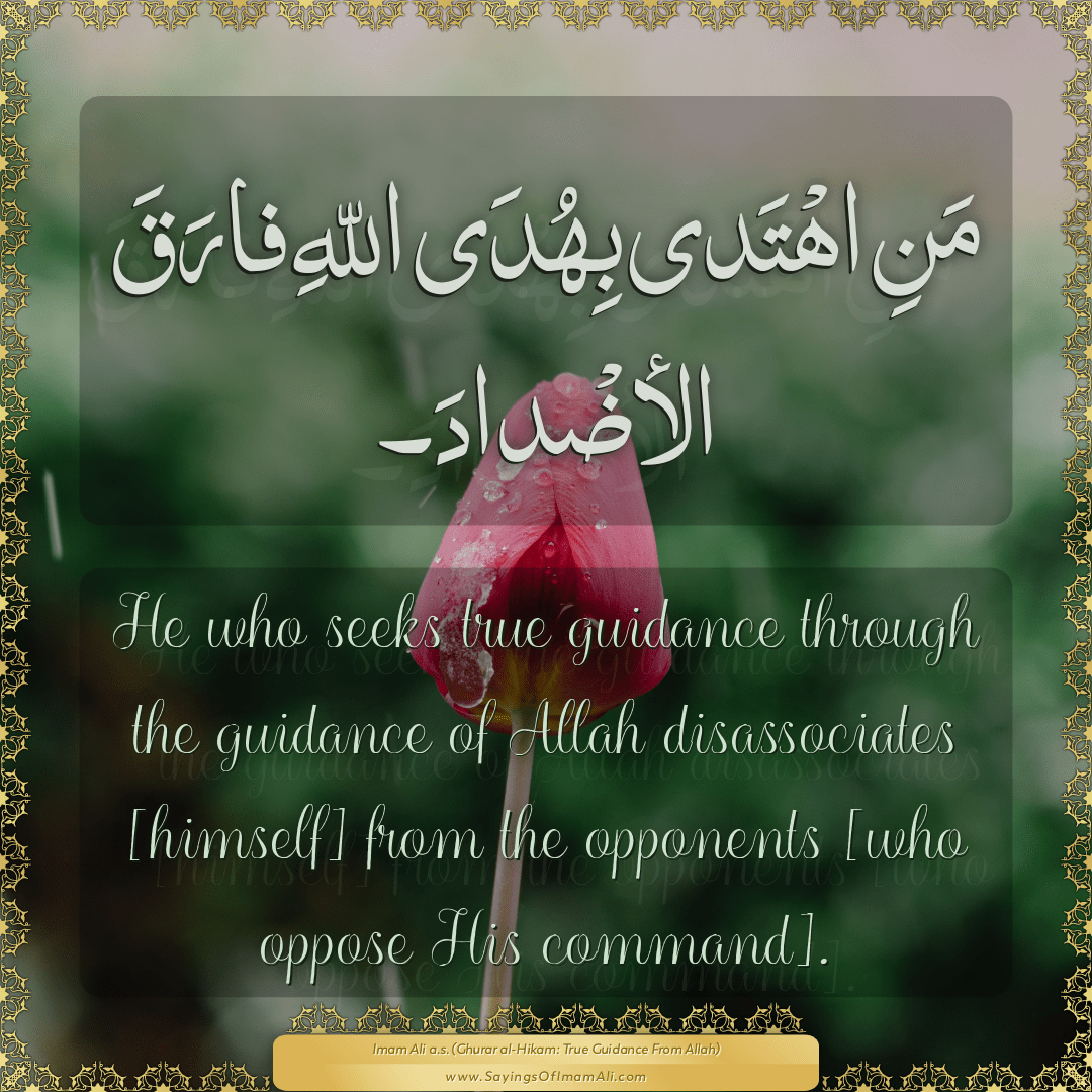 He who seeks true guidance through the guidance of Allah disassociates...